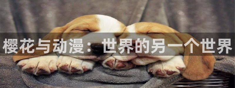 omofun官方下载入口：樱花与动漫：世界的另一个世界