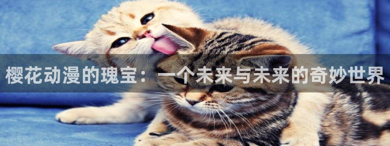 omofun动漫网站：樱花动漫的瑰宝：一个未来与未来的奇妙世界