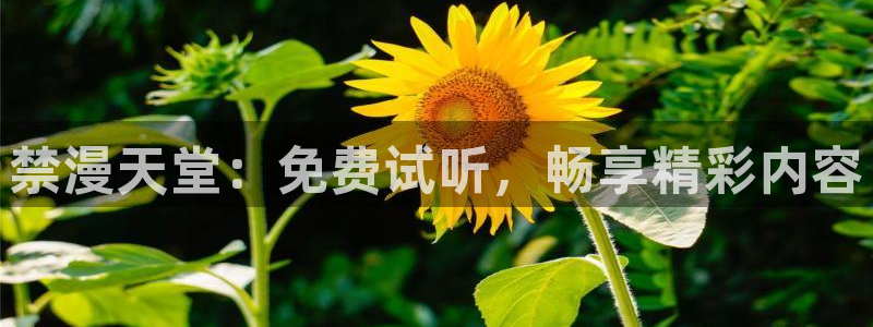 omofun下载：禁漫天堂：免费试听，畅享精彩内容