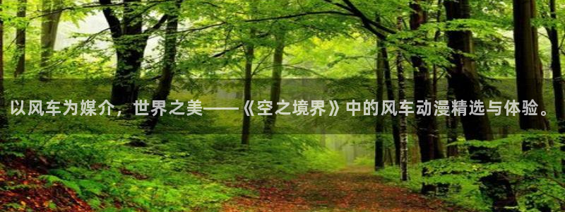 omofun动漫官方app下载：以风车为媒介，世界之美——《空之境界》中的风车动漫精选与体验。