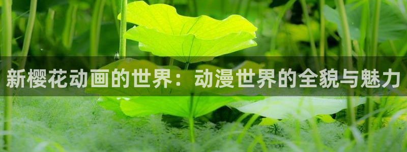 omofun漫画官网入口：新樱花动画的世界：动漫世界的全貌与魅力