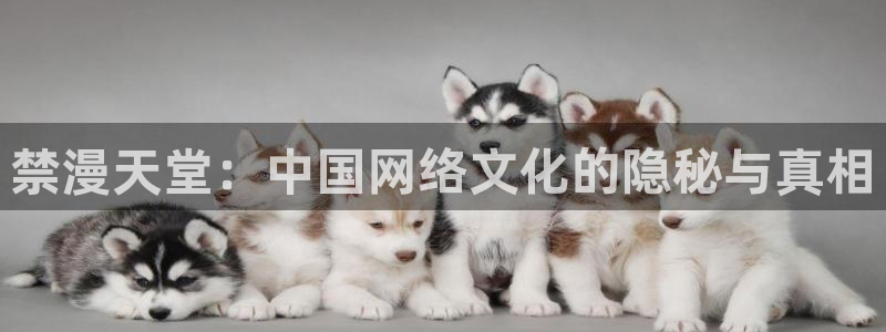 omofuns：禁漫天堂：中国网络文化的隐秘与真相