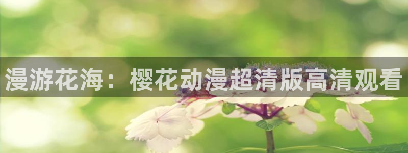新版omofun下载：漫游花海：樱花动漫超清版高清观看